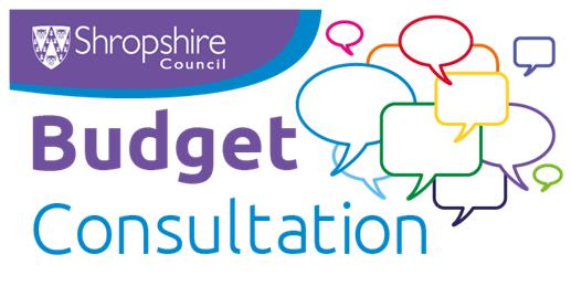  - Public Consultation on Shropshire Council's Budget Proposals